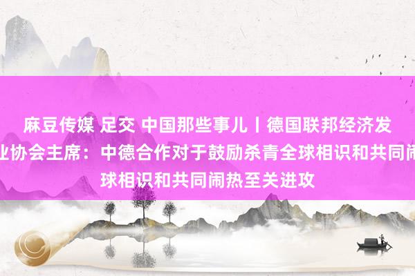 麻豆传媒 足交 中国那些事儿丨德国联邦经济发展和对外商业协会主席：中德合作对于鼓励杀青全球相识和共同闹热至关进攻