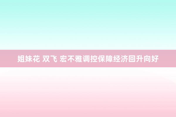 姐妹花 双飞 宏不雅调控保障经济回升向好