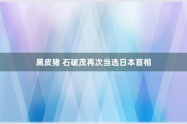 黑皮猪 石破茂再次当选日本首相