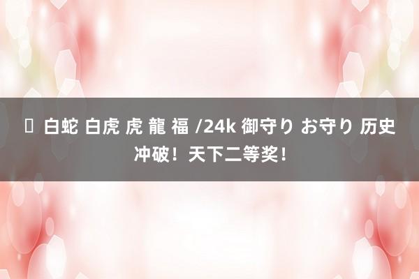 ✨白蛇 白虎 虎 龍 福 /24k 御守り お守り 历史冲破！天下二等奖！