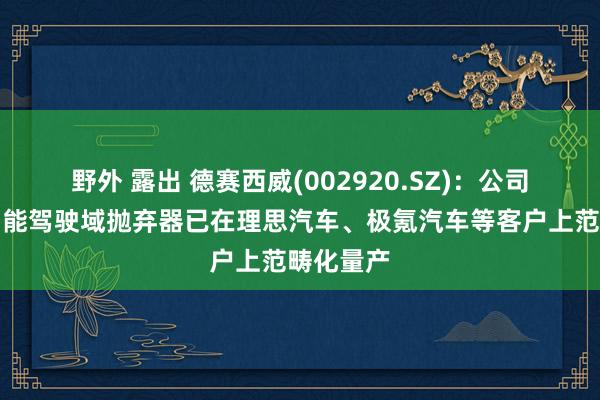 野外 露出 德赛西威(002920.SZ)：公司高算力智能驾驶域抛弃器已在理思汽车、极氪汽车等客户上范畴化量产