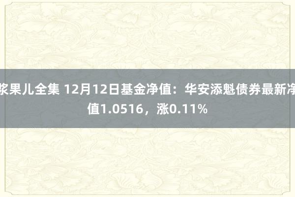 浆果儿全集 12月12日基金净值：华安添魁债券最新净值1.0516，涨0.11%