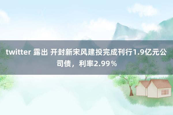 twitter 露出 开封新宋风建投完成刊行1.9亿元公司债，利率2.99％