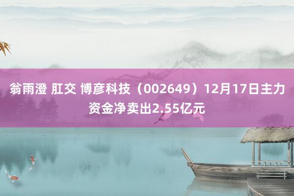 翁雨澄 肛交 博彦科技（002649）12月17日主力资金净卖出2.55亿元