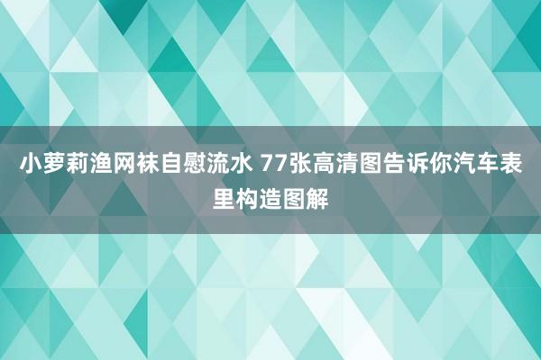 小萝莉渔网袜自慰流水 77张高清图告诉你汽车表里构造图解