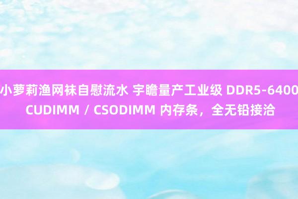 小萝莉渔网袜自慰流水 宇瞻量产工业级 DDR5-6400 CUDIMM / CSODIMM 内存条，全无铅接洽