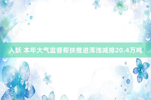 人妖 本年大气监督帮扶推进浑浊减排20.4万吨