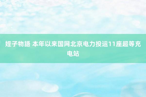 姪子物語 本年以来国网北京电力投运11座超等充电站