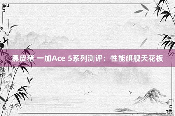 黑皮猪 一加Ace 5系列测评：性能旗舰天花板