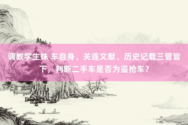 调教学生妹 车自身、关连文献、历史记载三管皆下，判断二手车是否为盗抢车？