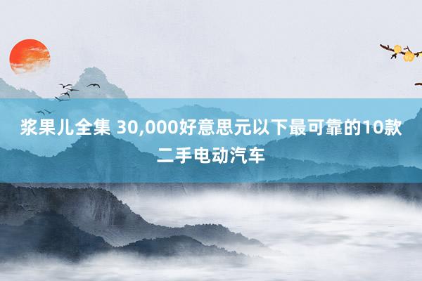 浆果儿全集 30，000好意思元以下最可靠的10款二手电动汽车