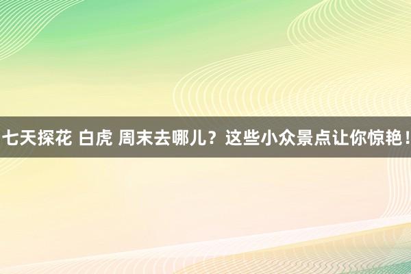 七天探花 白虎 周末去哪儿？这些小众景点让你惊艳！