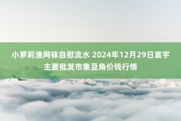 小萝莉渔网袜自慰流水 2024年12月29日寰宇主要批发市集豆角价钱行情