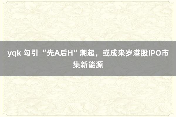 yqk 勾引 “先A后H”潮起，或成来岁港股IPO市集新能源