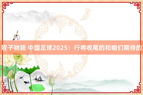 姪子物語 中国足球2025：行将收尾的和咱们期待的