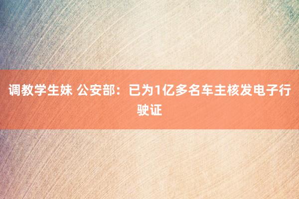 调教学生妹 公安部：已为1亿多名车主核发电子行驶证