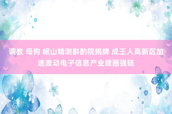 调教 母狗 岷山精测斟酌院揭牌 成王人高新区加速激动电子信息产业建圈强链