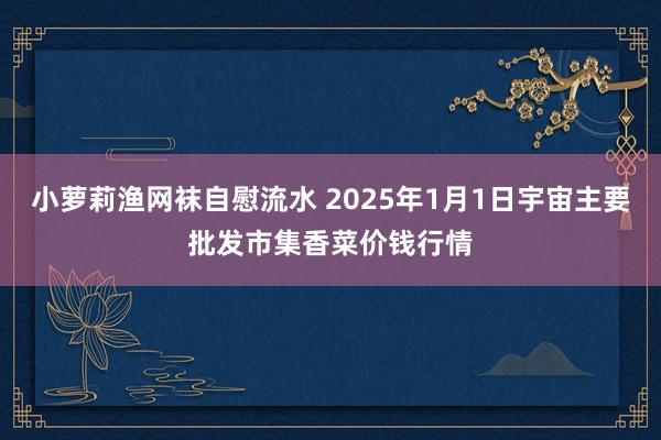 小萝莉渔网袜自慰流水 2025年1月1日宇宙主要批发市集香菜价钱行情