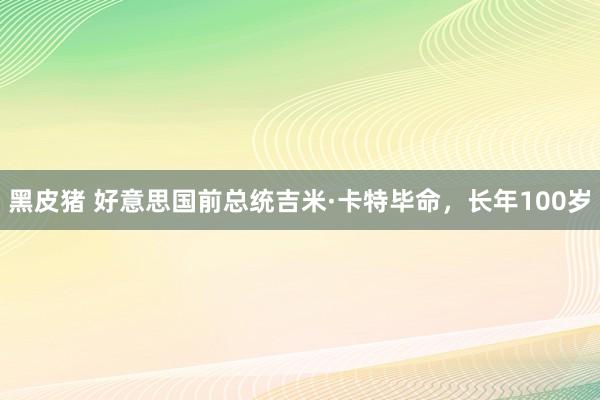 黑皮猪 好意思国前总统吉米·卡特毕命，长年100岁