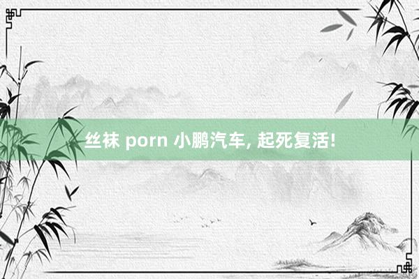 丝袜 porn 小鹏汽车， 起死复活!