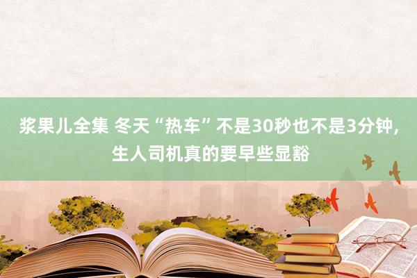 浆果儿全集 冬天“热车”不是30秒也不是3分钟， 生人司机真的要早些显豁