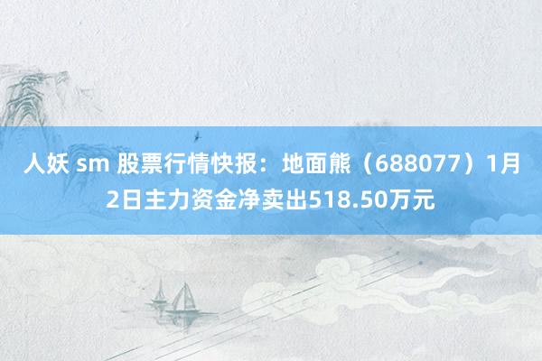 人妖 sm 股票行情快报：地面熊（688077）1月2日主力资金净卖出518.50万元