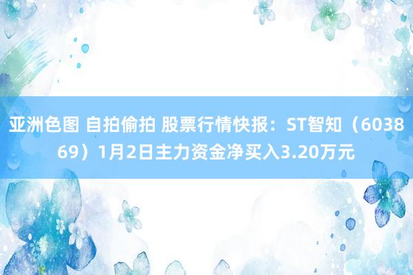 亚洲色图 自拍偷拍 股票行情快报：ST智知（603869）1月2日主力资金净买入3.20万元