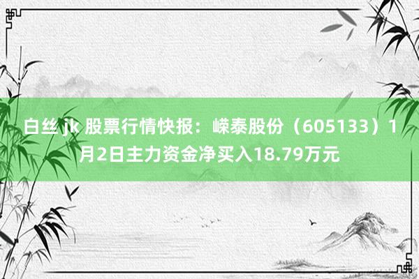 白丝 jk 股票行情快报：嵘泰股份（605133）1月2日主力资金净买入18.79万元