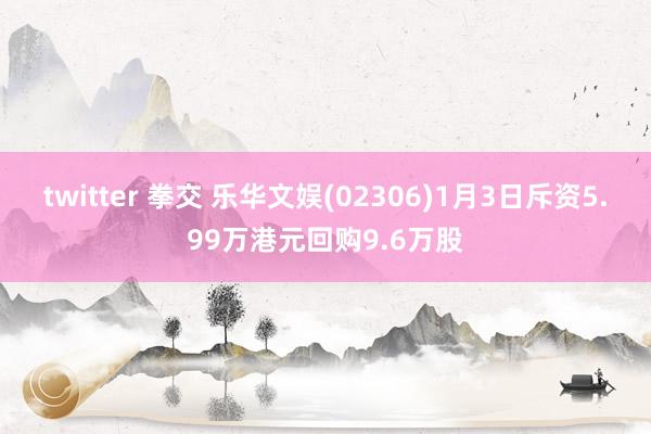 twitter 拳交 乐华文娱(02306)1月3日斥资5.99万港元回购9.6万股