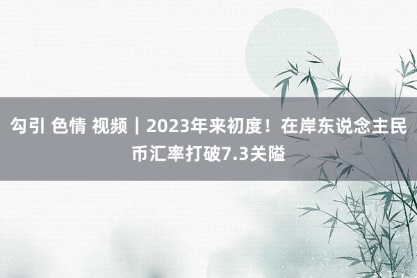 勾引 色情 视频｜2023年来初度！在岸东说念主民币汇率打破7.3关隘