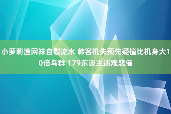 小萝莉渔网袜自慰流水 韩客机失预先疑撞比机身大10倍鸟群 179东谈主遇难悲催