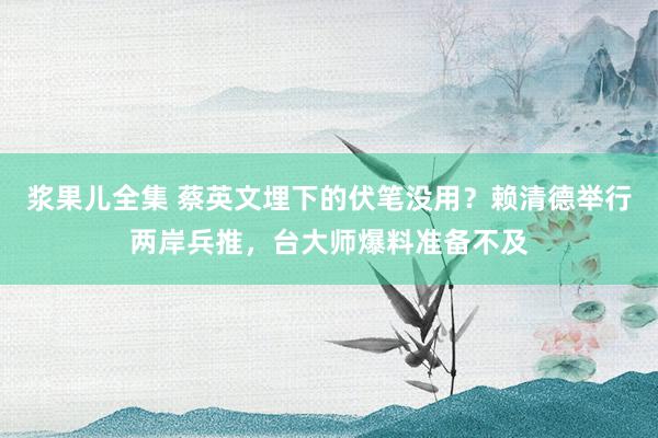 浆果儿全集 蔡英文埋下的伏笔没用？赖清德举行两岸兵推，台大师爆料准备不及