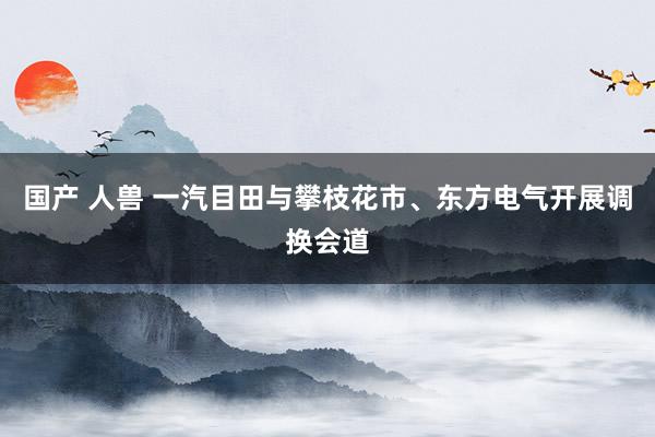 国产 人兽 一汽目田与攀枝花市、东方电气开展调换会道