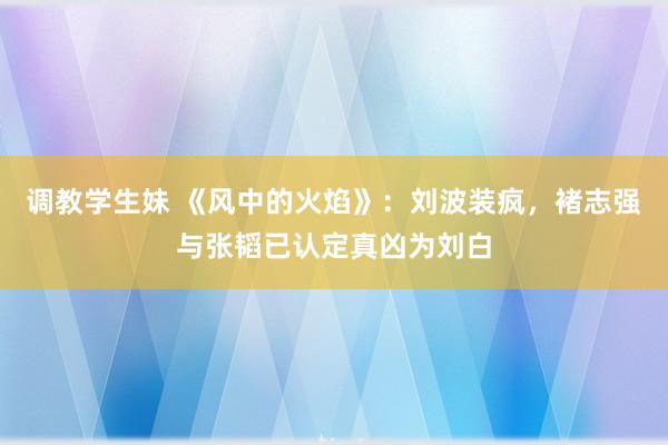 调教学生妹 《风中的火焰》：刘波装疯，褚志强与张韬已认定真凶为刘白