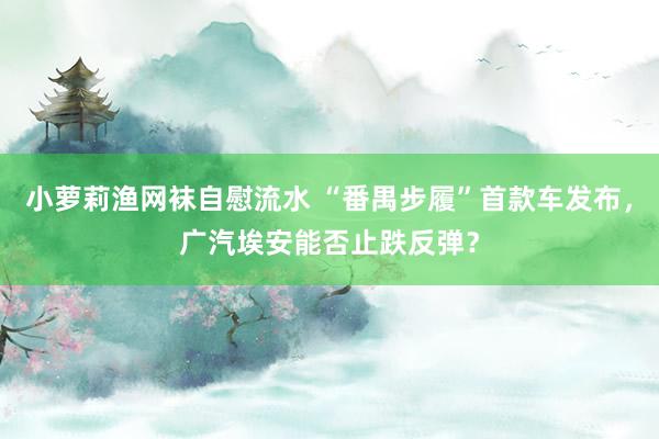 小萝莉渔网袜自慰流水 “番禺步履”首款车发布，广汽埃安能否止跌反弹？