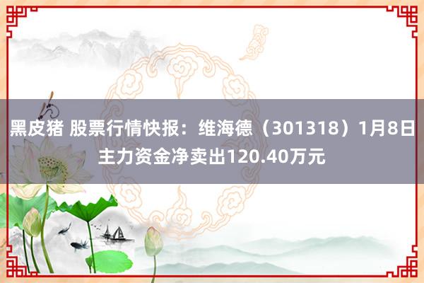 黑皮猪 股票行情快报：维海德（301318）1月8日主力资金净卖出120.40万元