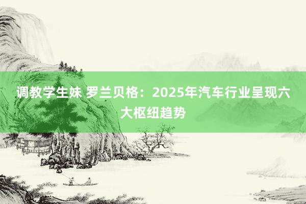 调教学生妹 罗兰贝格：2025年汽车行业呈现六大枢纽趋势