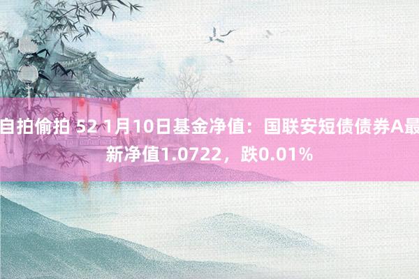 自拍偷拍 52 1月10日基金净值：国联安短债债券A最新净值1.0722，跌0.01%