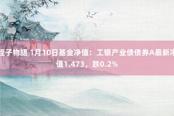 姪子物語 1月10日基金净值：工银产业债债券A最新净值1.473，跌0.2%