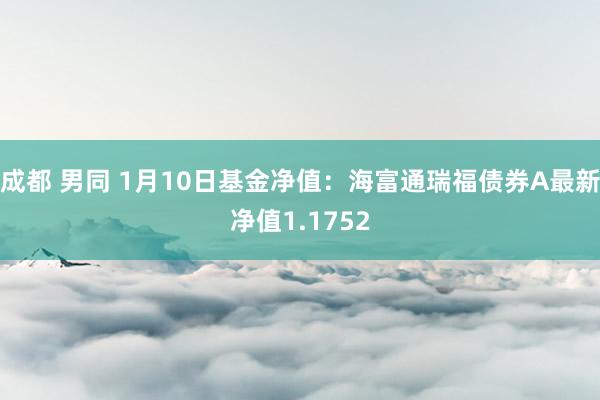 成都 男同 1月10日基金净值：海富通瑞福债券A最新净值1.1752