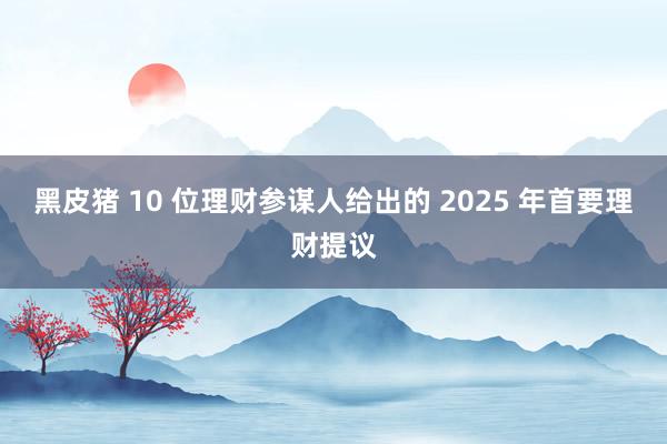 黑皮猪 10 位理财参谋人给出的 2025 年首要理财提议