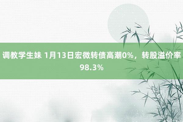 调教学生妹 1月13日宏微转债高潮0%，转股溢价率98.3%