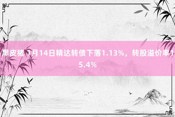 黑皮猪 1月14日精达转债下落1.13%，转股溢价率15.4%