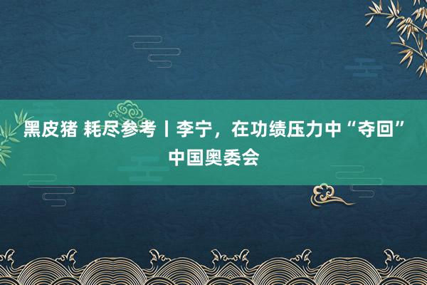 黑皮猪 耗尽参考丨李宁，在功绩压力中“夺回”中国奥委会