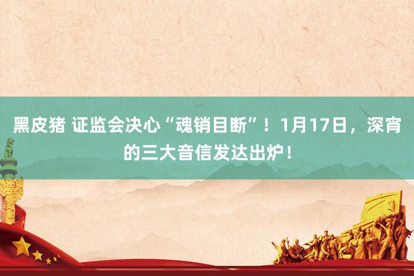 黑皮猪 证监会决心“魂销目断”！1月17日，深宵的三大音信发达出炉！