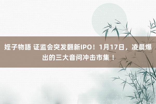 姪子物語 证监会突发翻新IPO！1月17日，凌晨爆出的三大音问冲击市集 ！