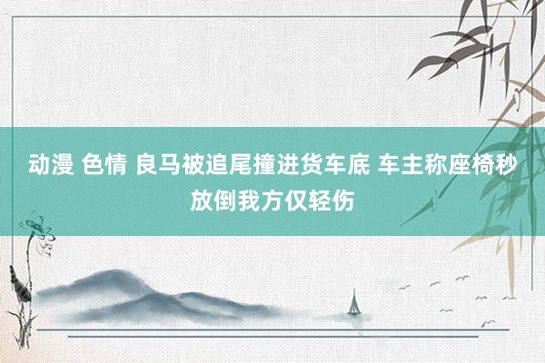 动漫 色情 良马被追尾撞进货车底 车主称座椅秒放倒我方仅轻伤