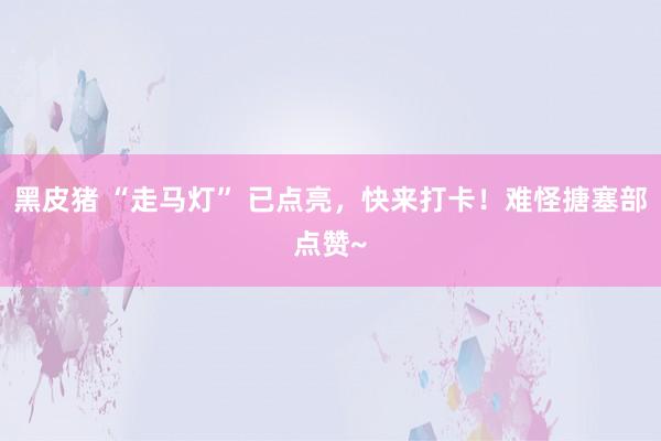 黑皮猪 “走马灯” 已点亮，快来打卡！难怪搪塞部点赞~