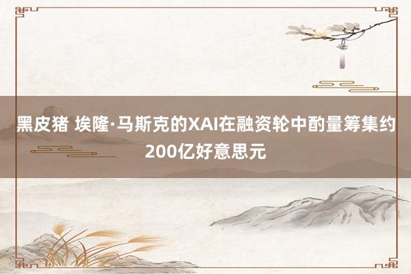 黑皮猪 埃隆·马斯克的XAI在融资轮中酌量筹集约200亿好意思元